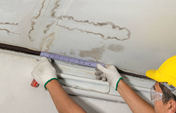 Reliable Water Damage contractor in Haslett, MI by Water Damage Irwin